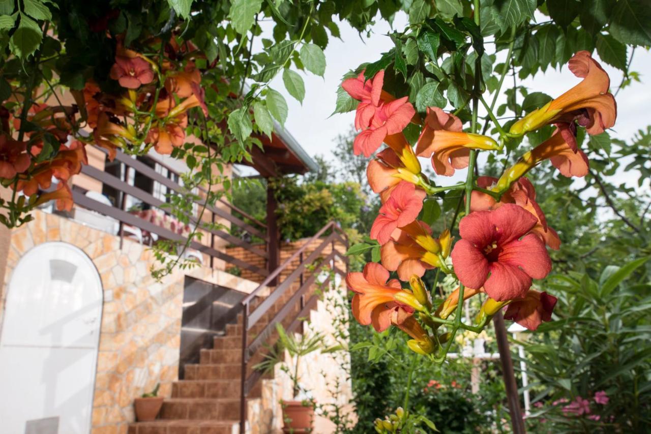 מדביה Apartment Alba מראה חיצוני תמונה
